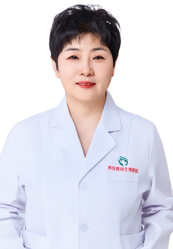 陶亚丽,妇科主任 / 教授